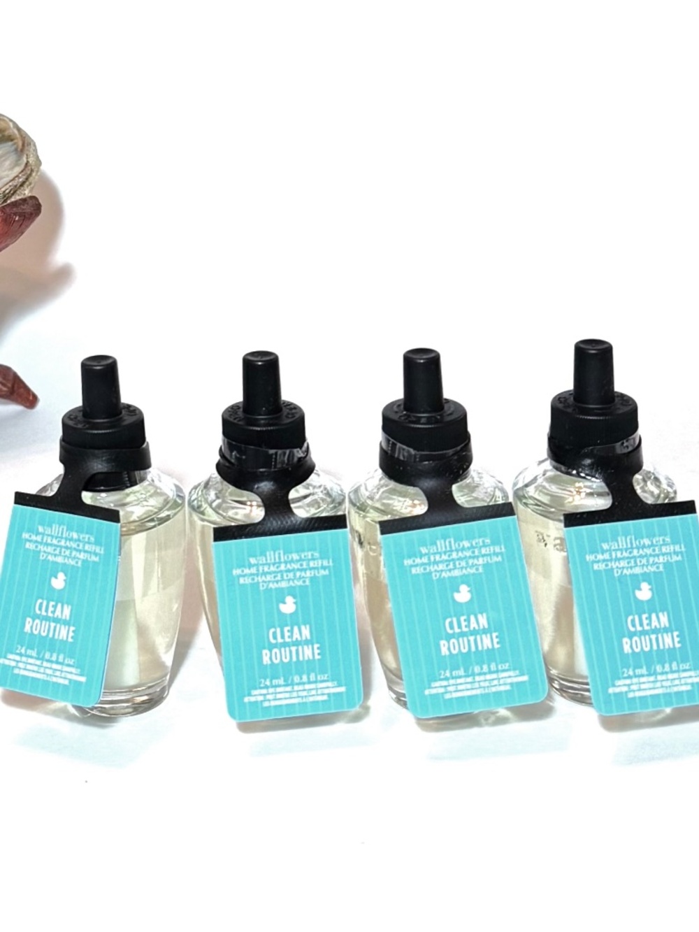 CLEAN ROUTINE Wallflowers